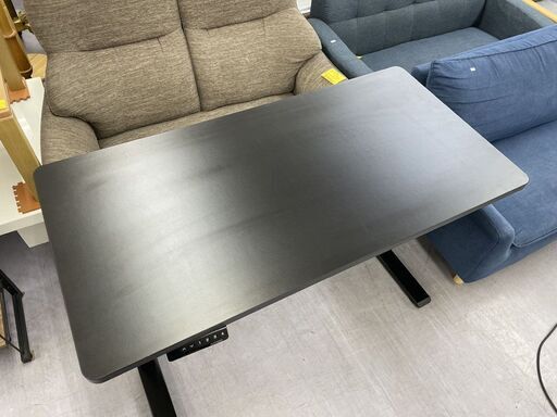 FLEXISPOT 電動昇降デスク 記憶機能付き 幅120ｃｍ ZB01 ゲーミングデスク パソコンデスク スタンディングデスク ブラ