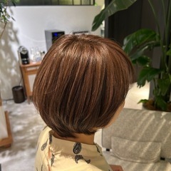白髪ぼかしハイライト募集しております‼️