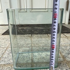 水槽の画像