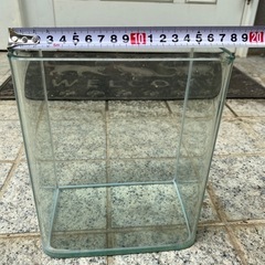 水槽の画像