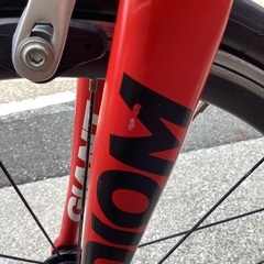 🚴 giant idiom2の画像