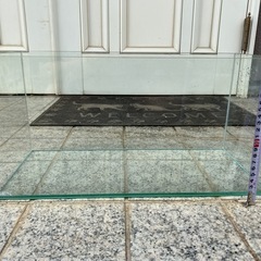 水槽の画像