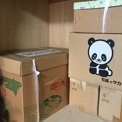 七段お雛様の画像