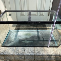水槽の画像