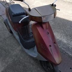 スズキ　セピア 実働　原付スクーターの画像