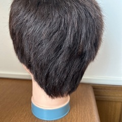 カット済み　カットウイッグ　お化け屋敷　デイスプレイなどにの画像