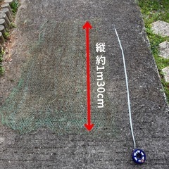 【譲ります】亀甲金網（チキンネット）緑 六角形金網 約90cm×約130cmの画像