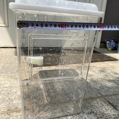 爬虫類の画像