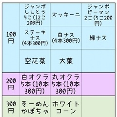 採れたて野菜の画像