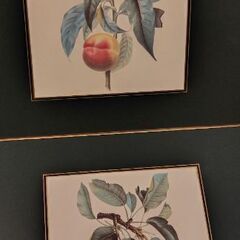 アンティーク 英国製 Lady Clare プレイスマット ランチョンマット 6枚セットの画像