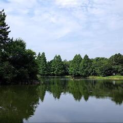 ✨真剣に再婚を考えてる方と話しをしたいです