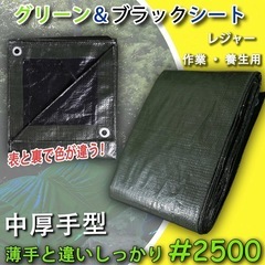 新品　TARPAL ＃2500 グリーンシート ブルーシート　UV 5.4m×7.2m 厚型の画像
