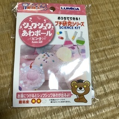 お家でできる　プチ研究シリーズの画像