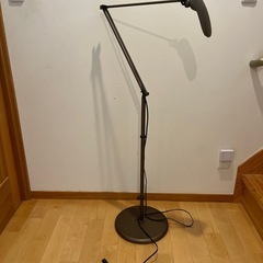 LEDエグザームフロアランプの画像