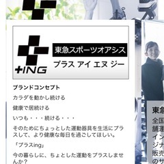 オアシス【OASIS+ING】ツイストステッパーの画像