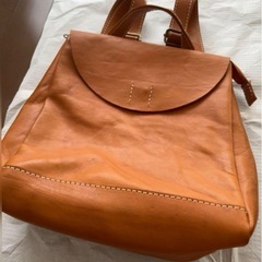 早い者勝ち！fes フェス　zucchero リュックの画像