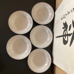 ✨未使用✨ 磁器製食器 中皿 🍛カレー皿 5枚セットの画像