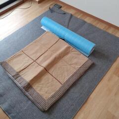 ホットカーペットの画像