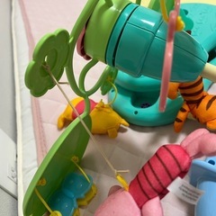 プーメリーの画像
