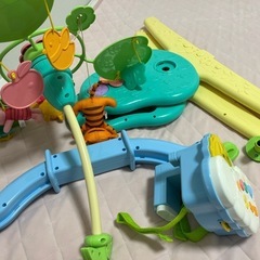 プーメリーの中古が安い！激安で譲ります・無料であげます