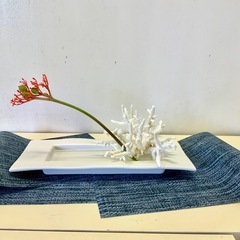 ＜一葉式生け花教室の生徒さん募集＞の画像