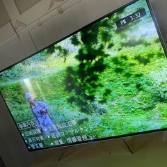 フナイ　液晶テレビ 2017年の画像