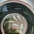 ランキングキーワードに紐づく投稿画像-メダカ