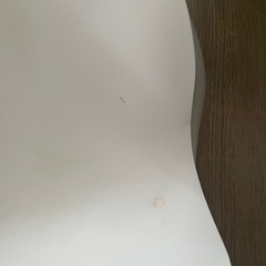 ベビー用お風呂ベッドの画像