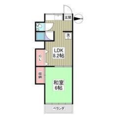 💛🧡フリーレント1ヶ月付き🧡💛敷礼ゼロ✨蒲生駅徒歩10分🎶賃料4...