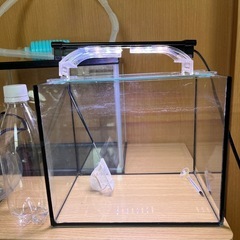 メダカ金魚水槽３つ飼育ライト水換えポンプ付きの画像
