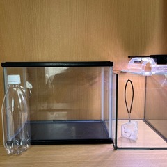 メダカ金魚水槽３つ飼育ライト水換えポンプ付きの画像