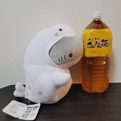 【新品タグ付き】おでかけ子ザメ ましゅもっち 水族館の画像