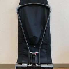 ベビービョルン（Baby Bjorn）ベビーシッターバランス（バウンサー）の画像