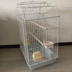 【決まりました】大型バードゲージホワイトの画像