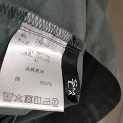 4L・背中フリルシャツの画像