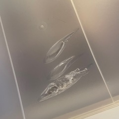 収納の画像