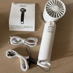 ハンディファン 冷却プレート搭載 カラビナ USBの画像