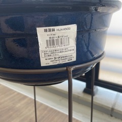 睡蓮鉢 ビオトープ 植木鉢 高さありの画像