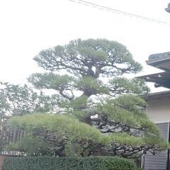 【急募❗】造園、外構工事　☆経験者、未経験者でも大歓迎❗☆一緒に頑張ってくれる方募集してます❗の画像