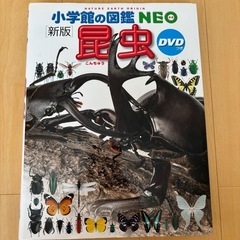 昆虫　（小学館の図鑑 NEO）の画像