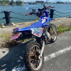 TT-R125の画像