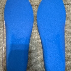 ミズノ　中敷き　26cmの画像