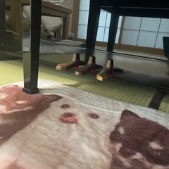 Atlas 縦型ピアノの画像