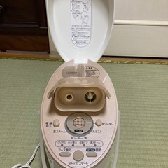 イオンスチーマー　ナノケアの画像