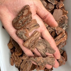 カブトムシ・クワガタ転倒防止材500g〜の画像