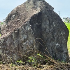 庭石の画像