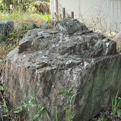 庭石の画像