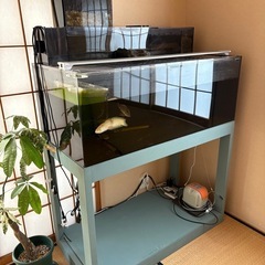 120cm アクリル水槽 セット