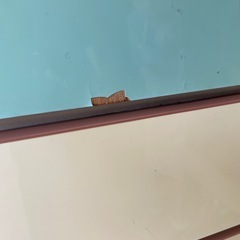 タンスの画像
