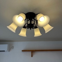 LED 電球 6個セット26E 電球色（電球のみ）の画像